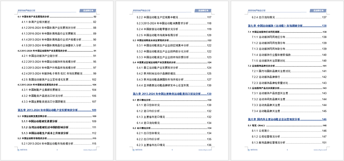 投资前景研究报告（2025-2031年）qy球友会体育中国运动鞋行业发展现状及