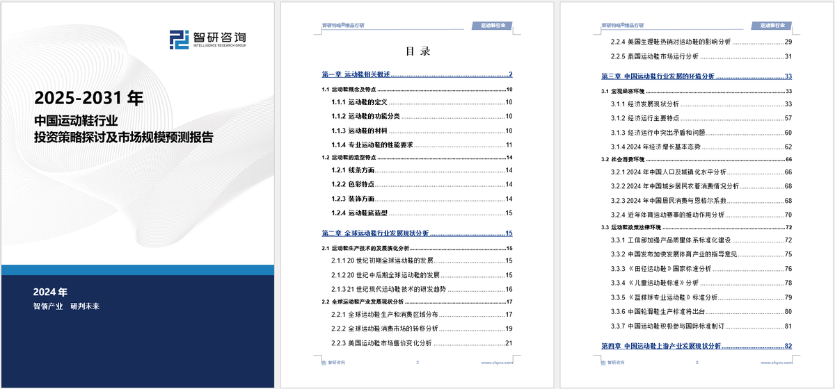 投资前景研究报告（2025-2031年）qy球友会体育中国运动鞋行业发展现状及(图3)